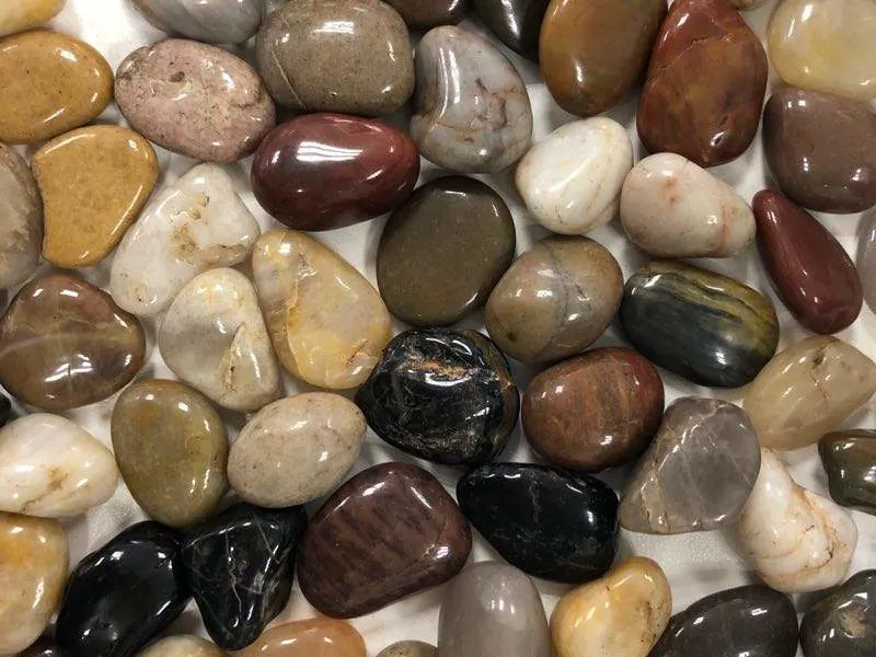 landscaping beach pebbles